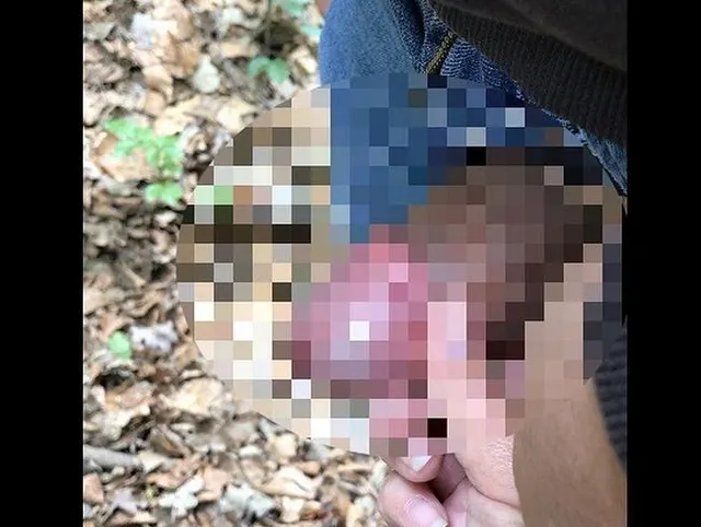 Spaziergänge beim pinkeln geholfen