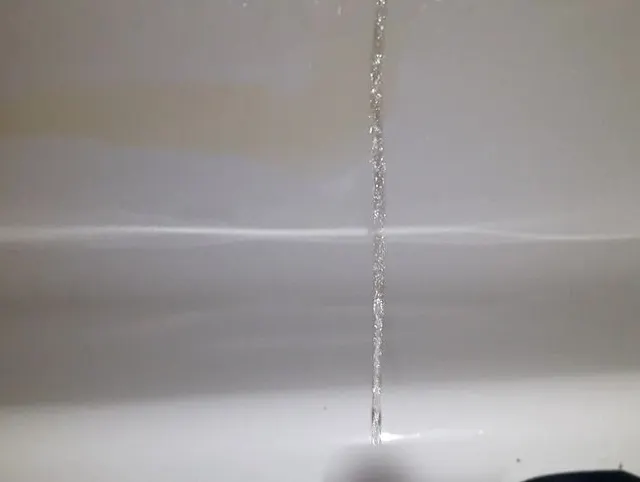 Schluck meine Pisse du Sau