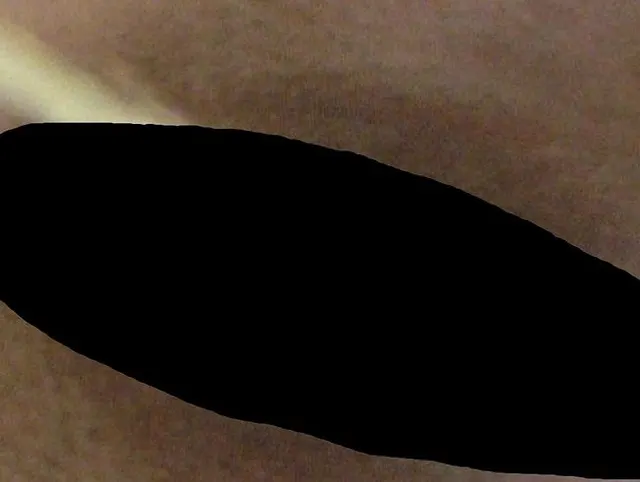 Sei mein Toilettensklave