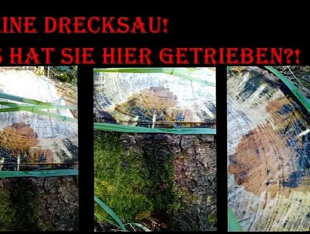 So ne Drecksau! Was hat sie hier getrieben?!
