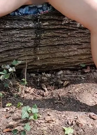 Wildpinkeln