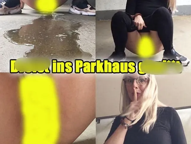 DREIST in Parkhaus GEPISST