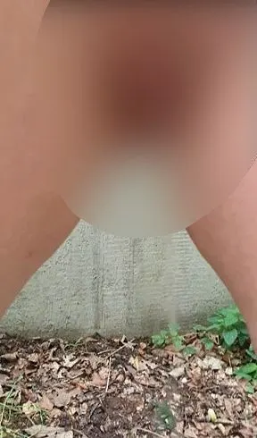 Rastplatz Piss