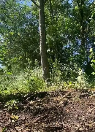 Piss-Handstand-Fontäne