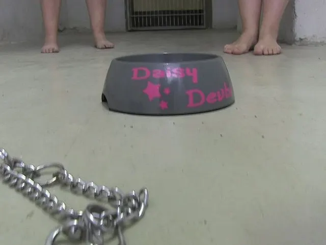 Daisy's Napf