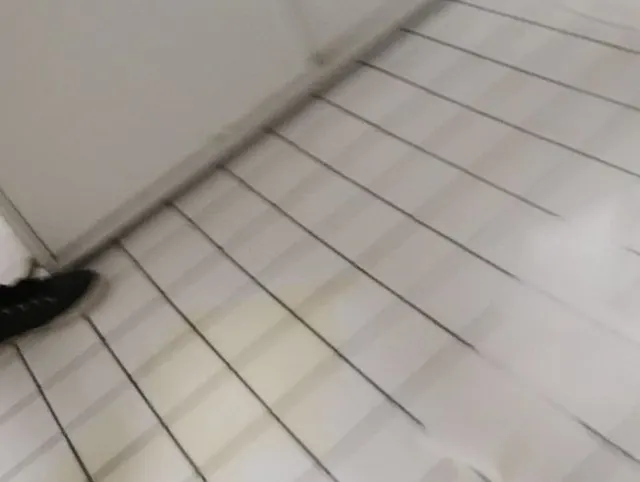 Real Toilette