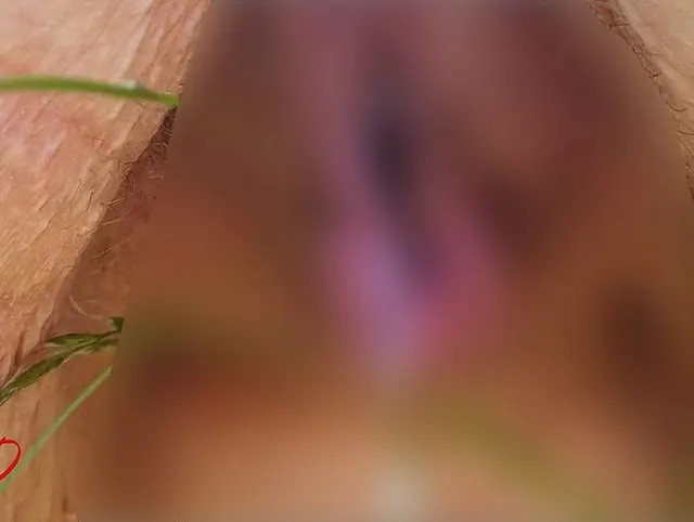 Meine Spermafotze pisst in der Wildnis