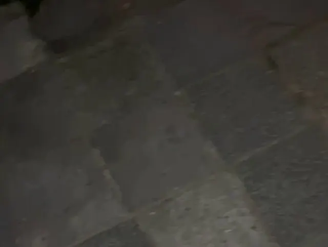 In einer lauen Sommernacht einfach mal geil gepisst