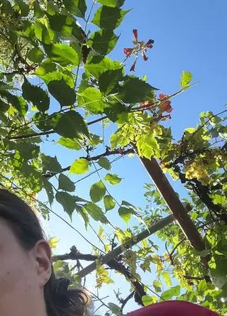 Kleines pipi Video im Garten mit abputzen