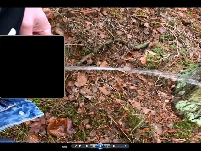 Kurzer Piss im Wald