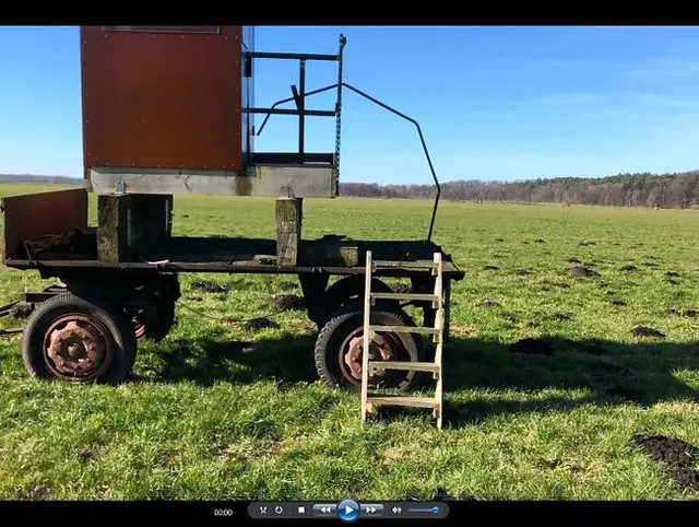 Und schon wieder Outdoor-NS beim Spazieren...
