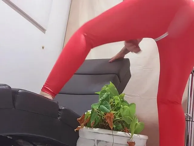 vernachlässigte Pflanze gewässert