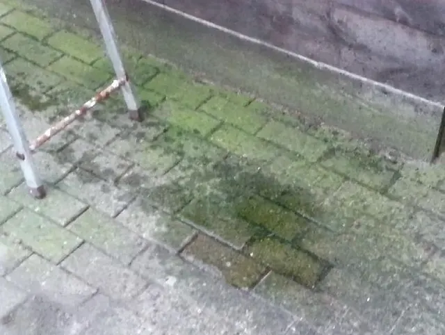 Draussen pissen 2