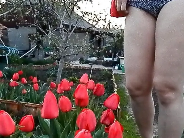 Im Morgengrauen wässere ich die Blumen.