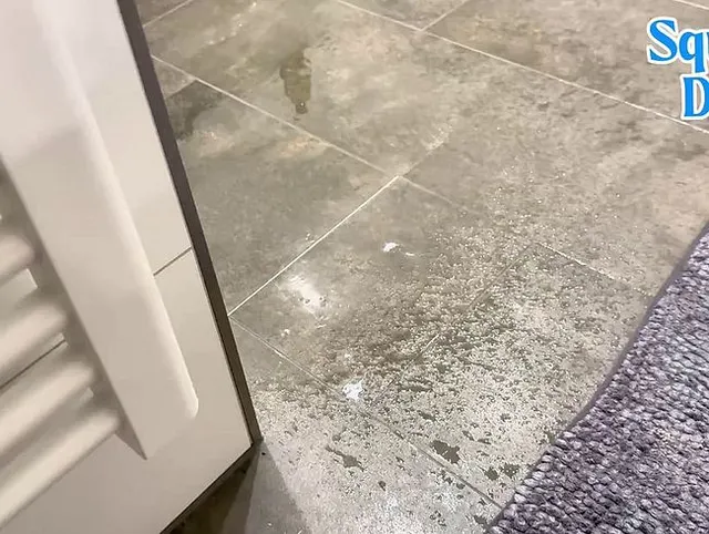 Heimlich dabei gefilmt wie ich in die Dusche pinkel